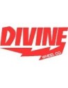 Divine Wheels Co.