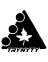 Trynyty Scooter Brand